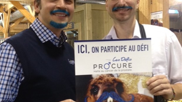 Une Schtroumpf de belle moustache !